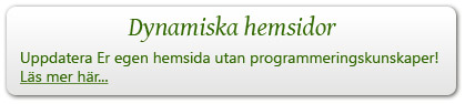 dynamiska hemsidor